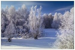 месяц февраль